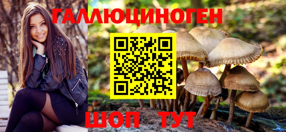 Псилоцибиновые грибы Psilocybine cubensis  Галлюциногенные грибы Magic Shrooms  Вход с VPN  Лабинск 