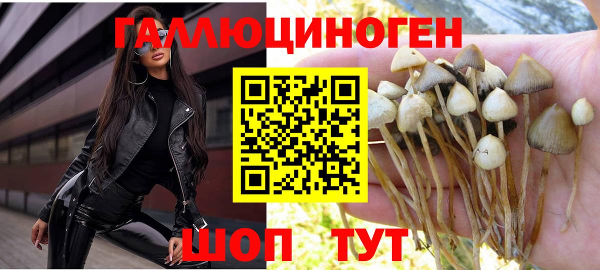 Псилоцибиновые грибы прущие грибы Лабинск